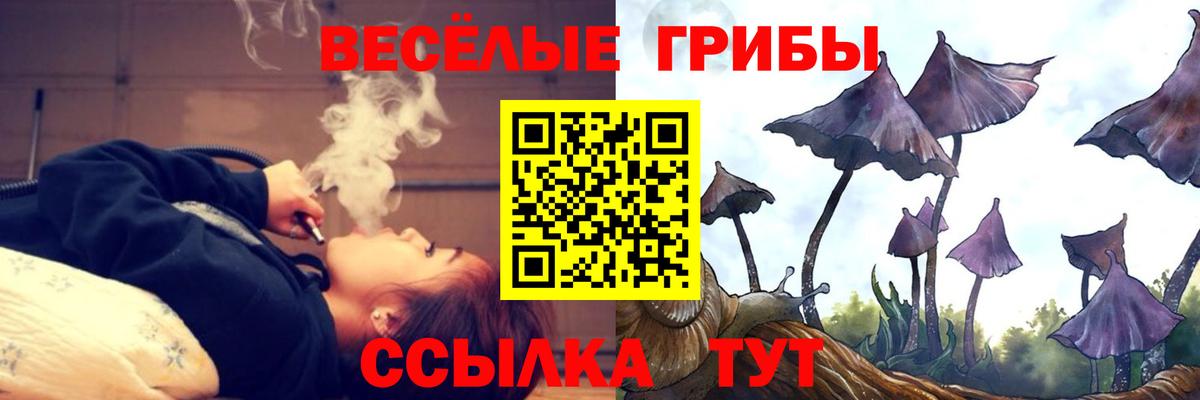 Псилоцибиновые грибы Psilocybe  Вход с VPN  Галлюциногенные грибы GOLDEN TEACHER  Великие Луки 